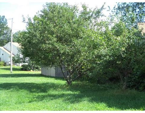 9 Richardson Rd #L, Derry, NH 03038 photo 15