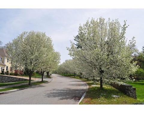 5 Nathan Ln, Middleton, MA 01949 photo 27