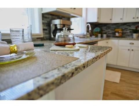 11 Derryfield Ave, Springfield, MA 01118 photo 8