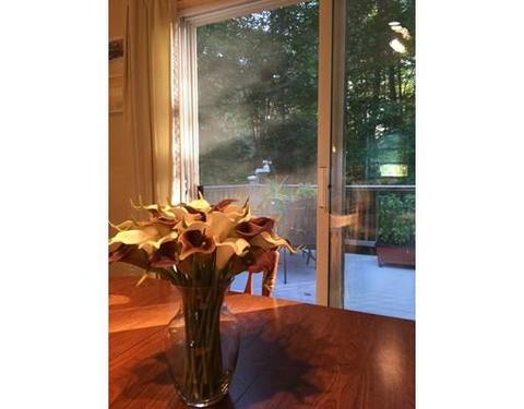 72 Mountain Rd, Erving, MA 01344 photo 27