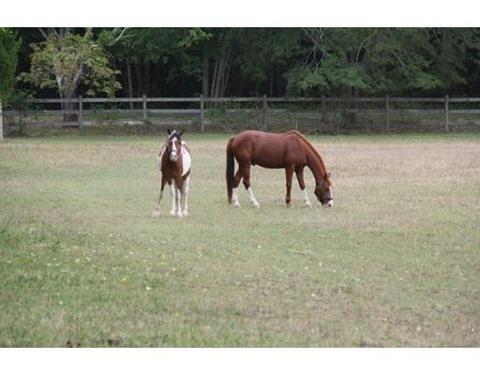 360 Turtleback Rd, Barnstable, MA 02648 photo 30