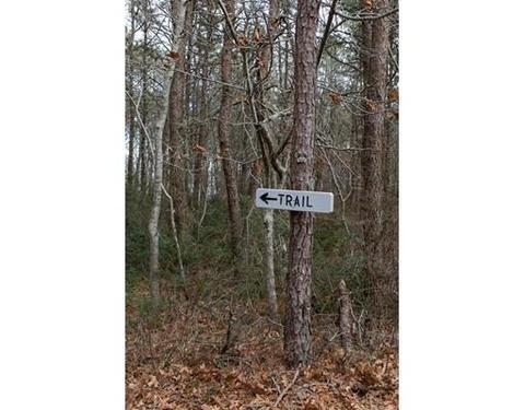 174 Lowell Rd #32, Mashpee, MA 02649 photo 27