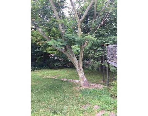 63 Warr Ave, Wareham, MA 02571 photo 5