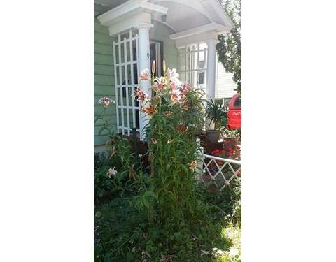 9 Marsh Ave, Worcester, MA 01605 photo 3