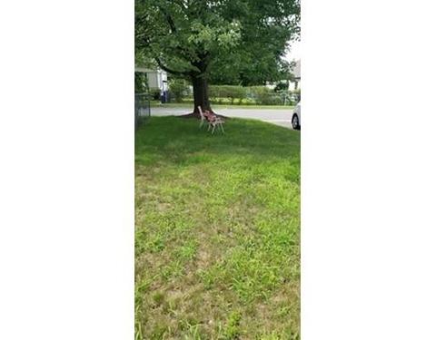 43 Sargon St, Springfield, MA 01104 photo 2