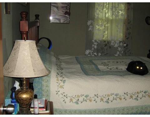 115 Osborne Ter, Springfield, MA 01104 photo 8