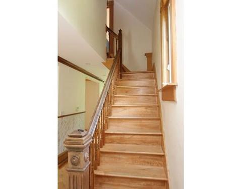 9 Arcadia St, Worcester, MA 01604 photo 15