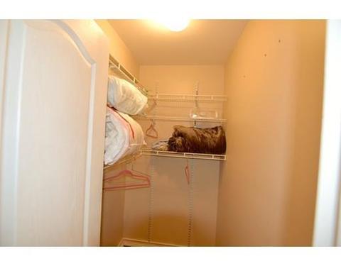59 Harvard Ave #2, Brookline, MA 02446 photo 13