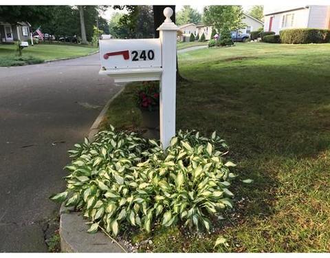 240 Garnet, Springfield, MA 01129 photo 21