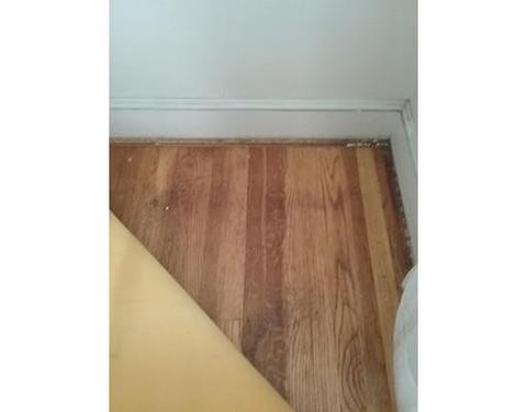 44 Woodlawn Ave, Everett, MA 02149 photo 24