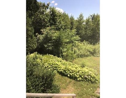 17 Wildey Ave, Worcester, MA 01606 photo 18