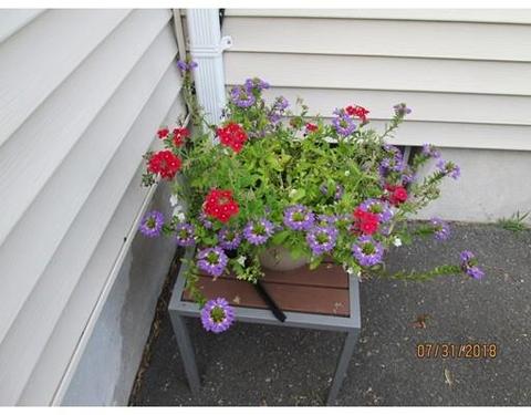 284 Prentice St, Springfield, MA 01104 photo 6