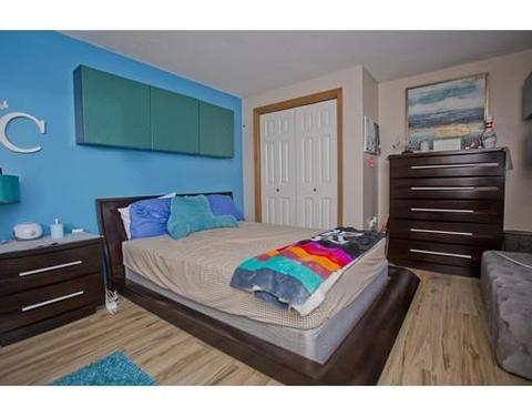 50 Herbert Ave, Springfield, MA 01119 photo 24