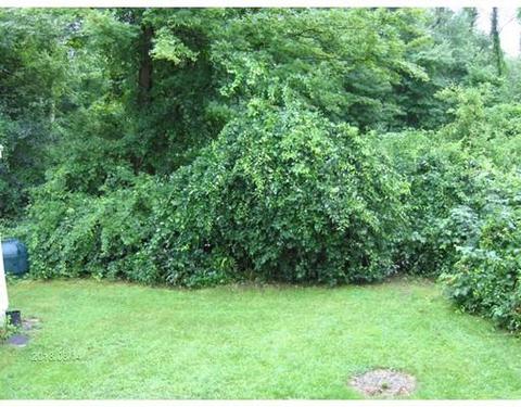 121 Bourne St, Palmer, MA 01080 photo 15
