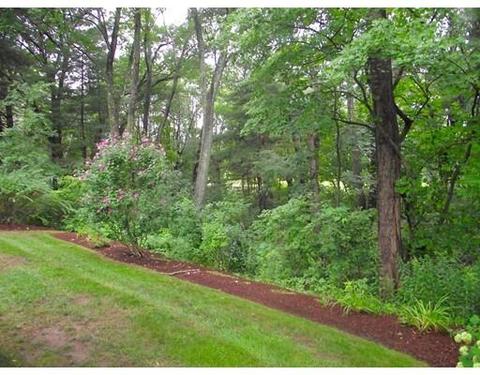 20 Catherine Ave, Reading, MA 01867 photo 21