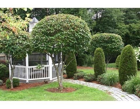 50 Culloden Dr, Canton, MA 02021 photo 29