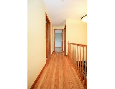 11 Eustis St, Worcester, MA 01606 photo 22