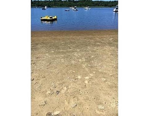 39 Mckinley St, Wareham, MA 02571 photo 18