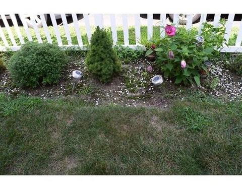 26 Montclair St, Springfield, MA 01104 photo 28