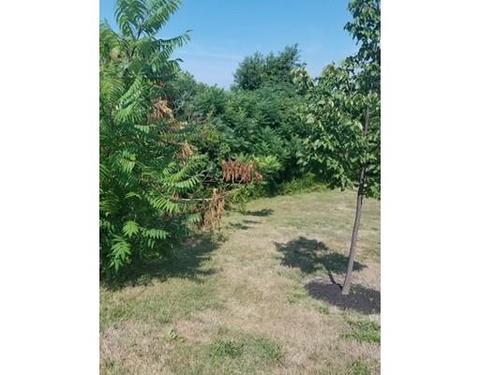 953 Bay St, Fall River, MA 02724 photo 1