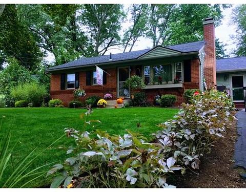 46 Melba St, Springfield, MA 01119 photo 29