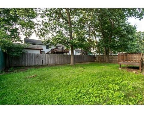 16 Bissell St, Springfield, MA 01119 photo 28