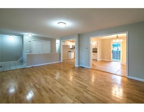 16 Bissell St, Springfield, MA 01119 photo 3