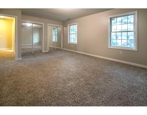 16 Bissell St, Springfield, MA 01119 photo 15