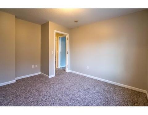 16 Bissell St, Springfield, MA 01119 photo 20