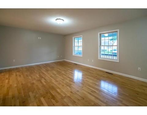 16 Bissell St, Springfield, MA 01119 photo 25