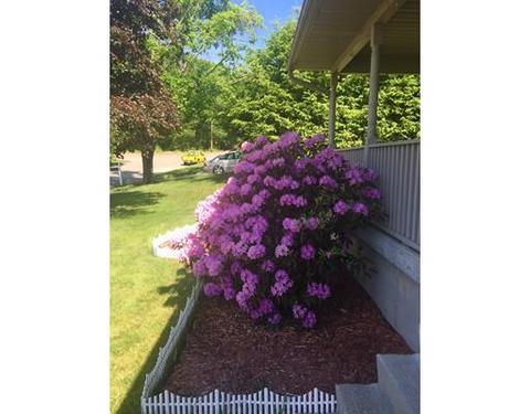 21 Loomis Ct, Chicopee, MA 01020 photo 4