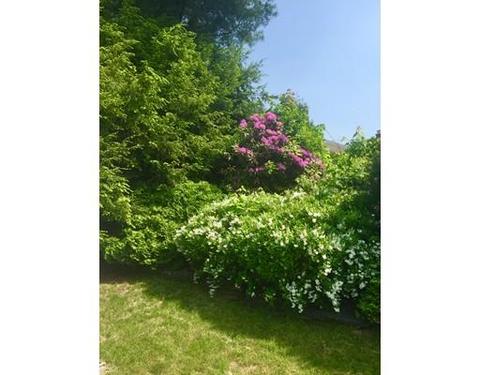 21 Loomis Ct, Chicopee, MA 01020 photo 3