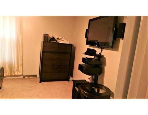 60 Newfield Rd, Springfield, MA 01119 photo 11