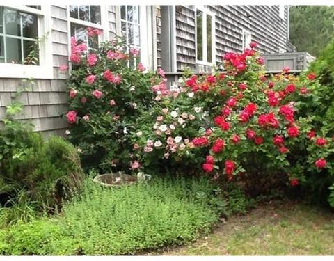 1050 Bridge Rd, Eastham, MA 02642 photo 24