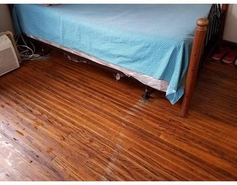 68 King St, Springfield, MA 01109 photo 17
