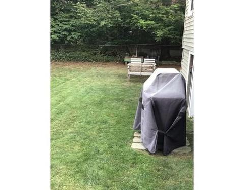 164 Harding Ter, Dedham, MA 02026 photo 5