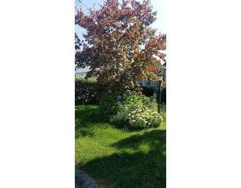 19 Warren St, Chicopee, MA 01013 photo 4