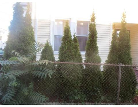 2 Sisson Ter, Lynn, MA 01902 photo 29