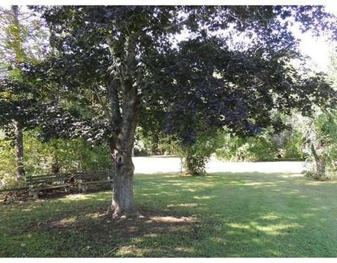 112 North St, Palmer, MA 01080 photo 6