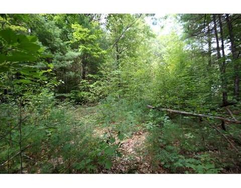 41 Ridge Rd, Erving, MA 01344 photo 3