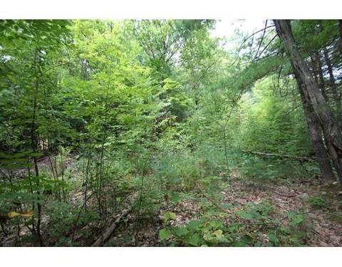 41 Ridge Rd, Erving, MA 01344 photo 2