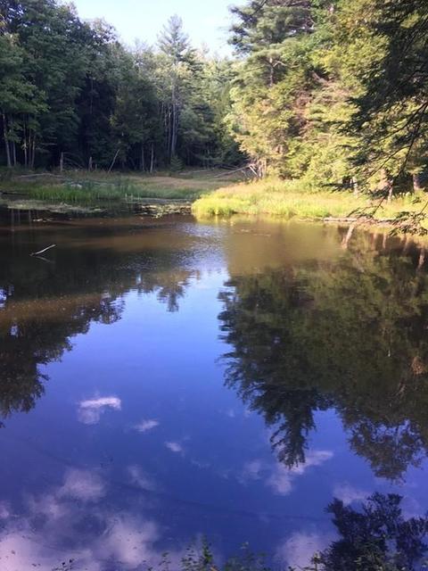 353 Northwest Rd, Westhampton, MA 01027 photo 1