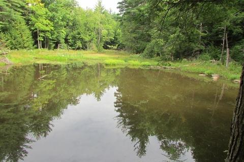353 Northwest Rd, Westhampton, MA 01027 photo 3