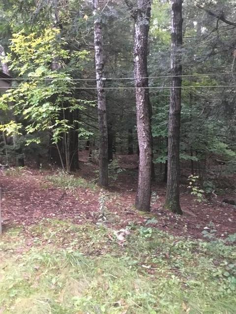353 Northwest Rd, Westhampton, MA 01027 photo 4