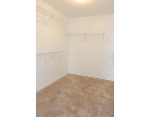 272 Naismith St, Springfield, MA 01104 photo 22