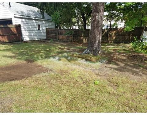 17 Dineen St, Springfield, MA 01104 photo 4