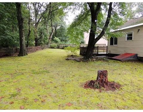 57 Bretton Rd, Springfield, MA 01119 photo 23