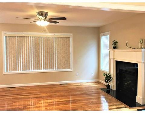 243 Naismith St, Springfield, MA 01104 photo 3