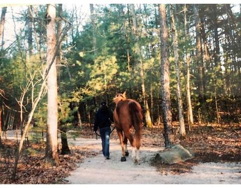 7 Gillis Rd, Windham, NH 03087 photo 30
