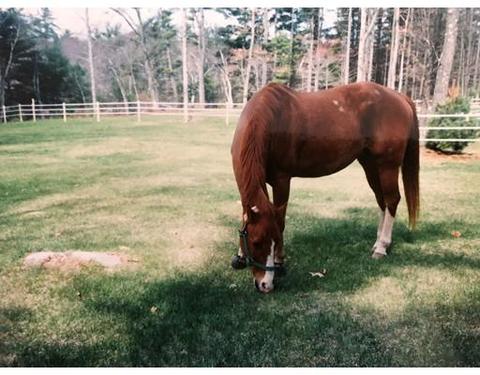 7 Gillis Rd, Windham, NH 03087 photo 1